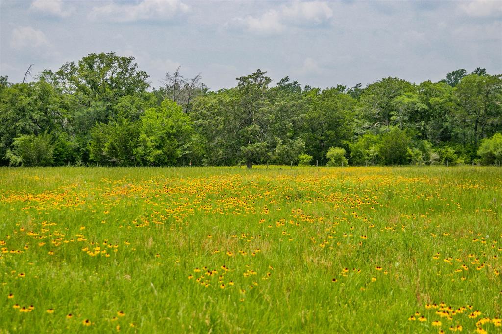 Lot 32 (5.41 Acres) Legacy Road, Somerville, Texas image 25