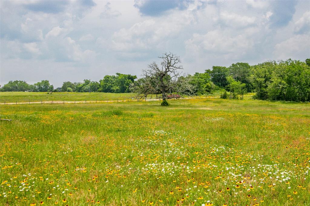 Lot 32 (5.41 Acres) Legacy Road, Somerville, Texas image 26