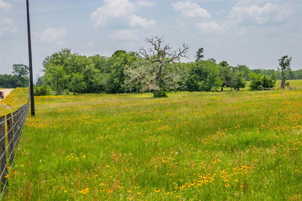 Lot 32 (5.41 Acres) Legacy Road, Somerville, Texas image 4