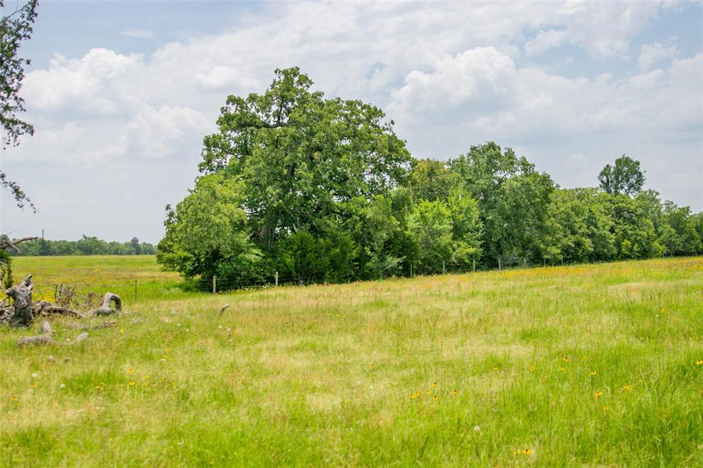 Lot 32 (5.41 Acres) Legacy Road, Somerville, Texas image 17