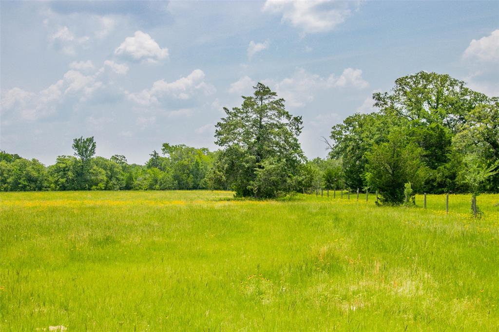 Lot 32 (5.41 Acres) Legacy Road, Somerville, Texas image 1