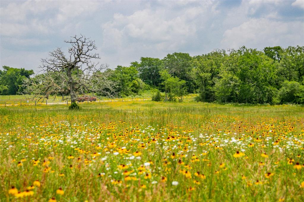 Lot 32 (5.41 Acres) Legacy Road, Somerville, Texas image 27