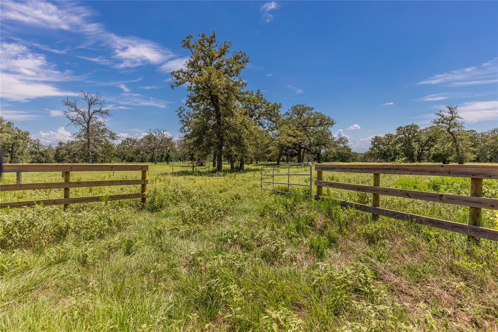 TBD Mill Creek Ranch Road, New Ulm, Texas image 11