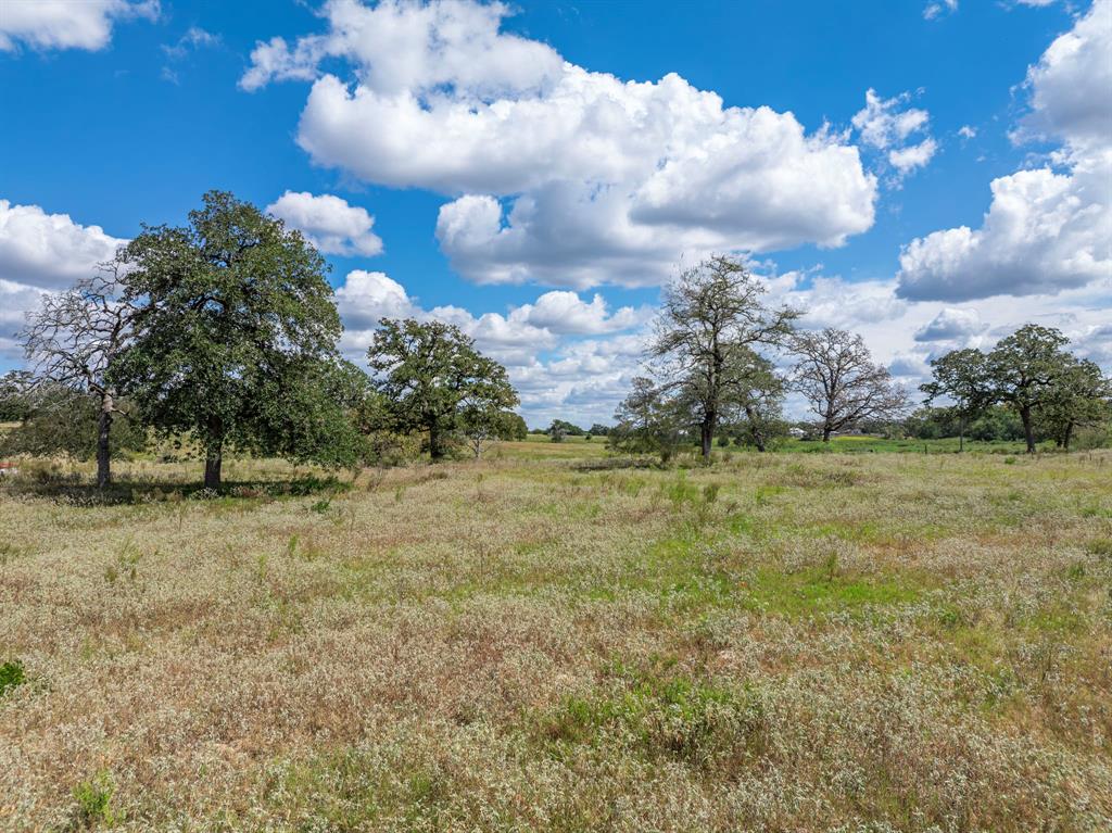 TBD Mill Creek Ranch Road, New Ulm, Texas image 4