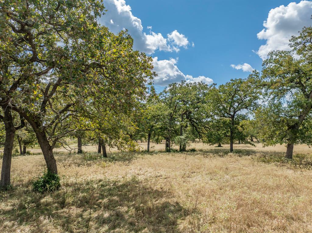 TBD Mill Creek Ranch Road, New Ulm, Texas image 8