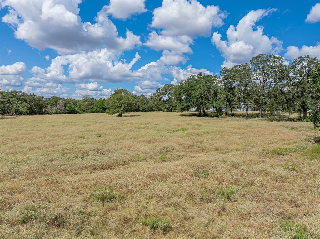 TBD Mill Creek Ranch Road, New Ulm, Texas image 6