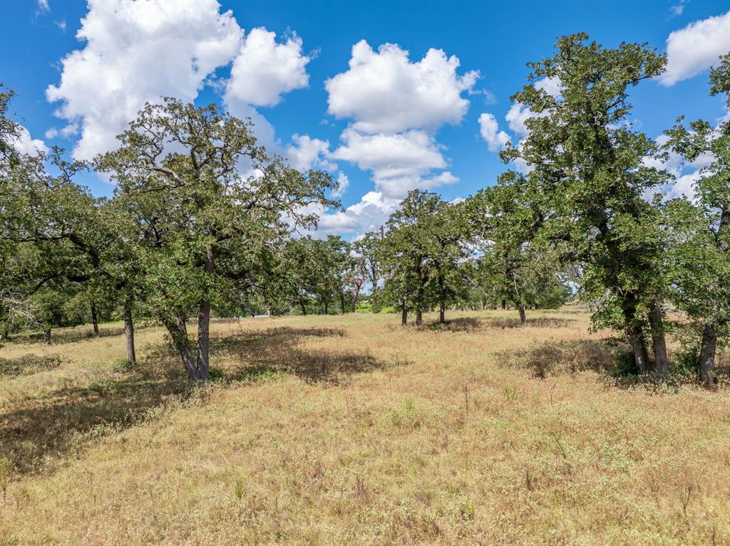 TBD Mill Creek Ranch Road, New Ulm, Texas image 9