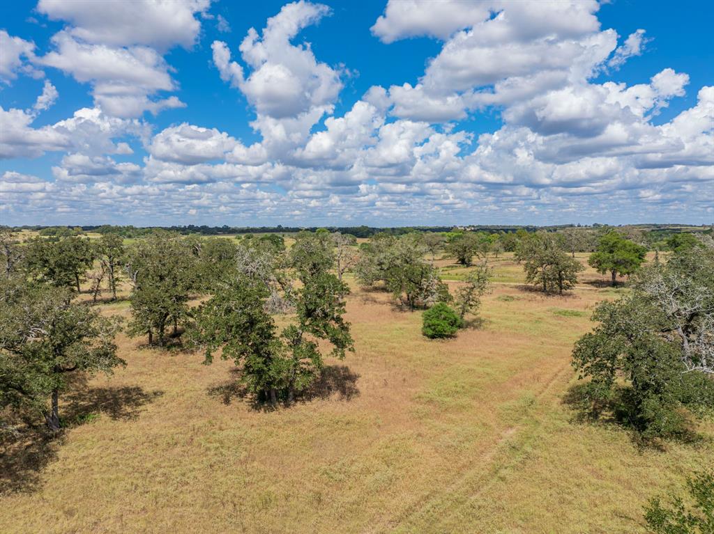 TBD Mill Creek Ranch Road, New Ulm, Texas image 7