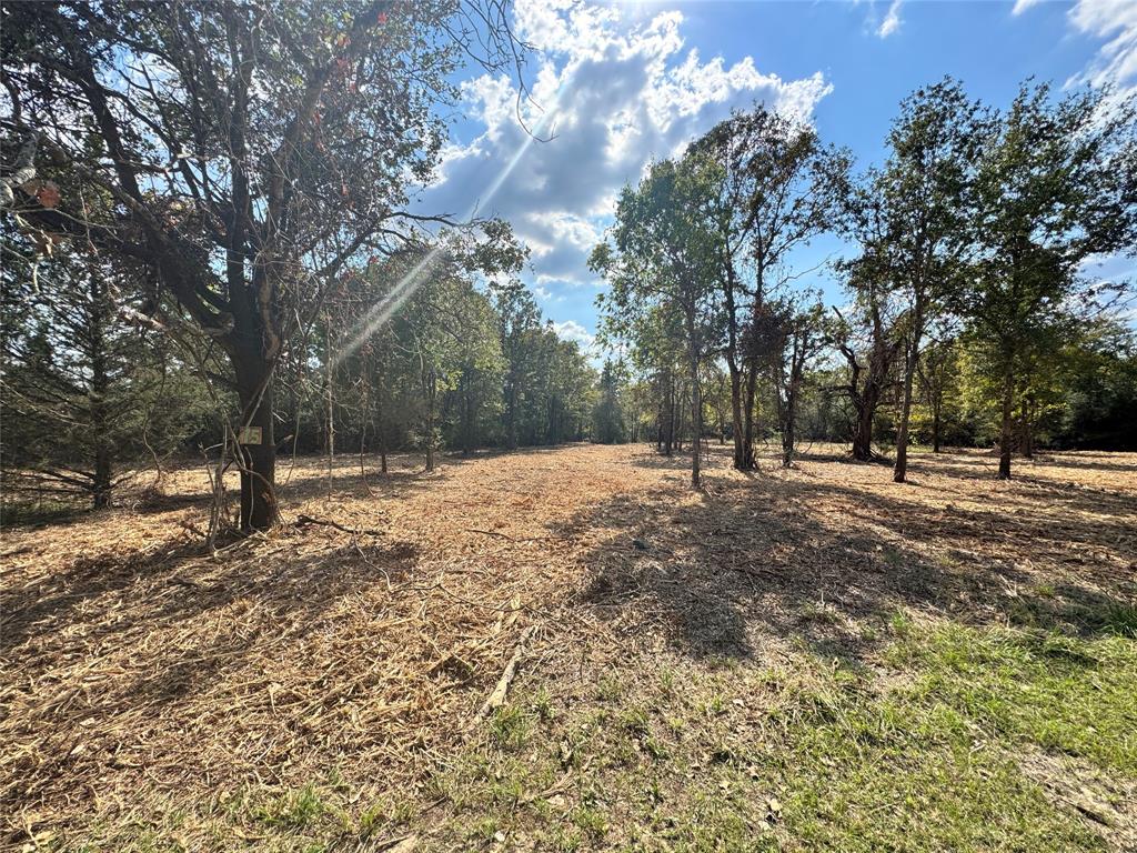 Lot 75 & 76 County Road 377, Marquez, Texas image 5