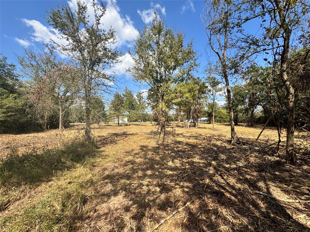 Lot 75 & 76 County Road 377, Marquez, Texas image 6