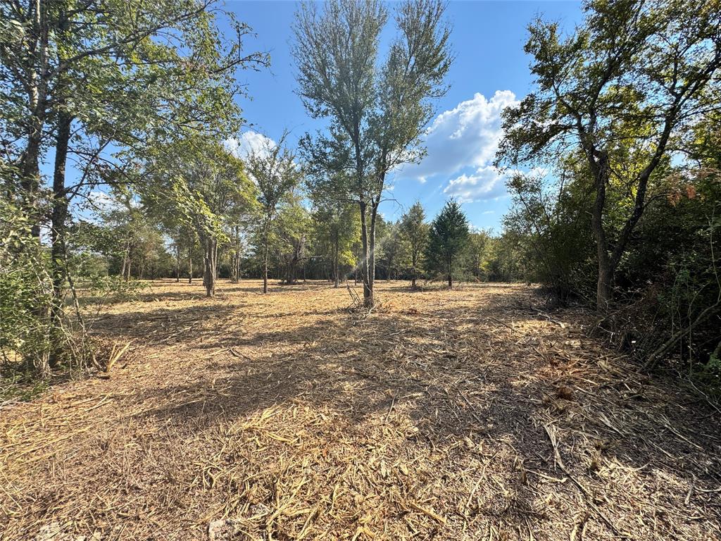 Lot 75 & 76 County Road 377, Marquez, Texas image 7