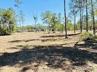 20960 Baldwin Road Rd, Porter, Texas image 7