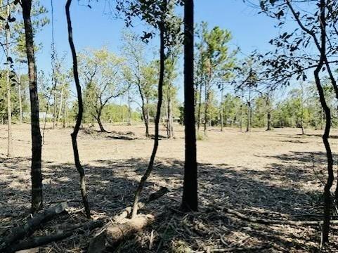 20960 Baldwin Road Rd, Porter, Texas image 9