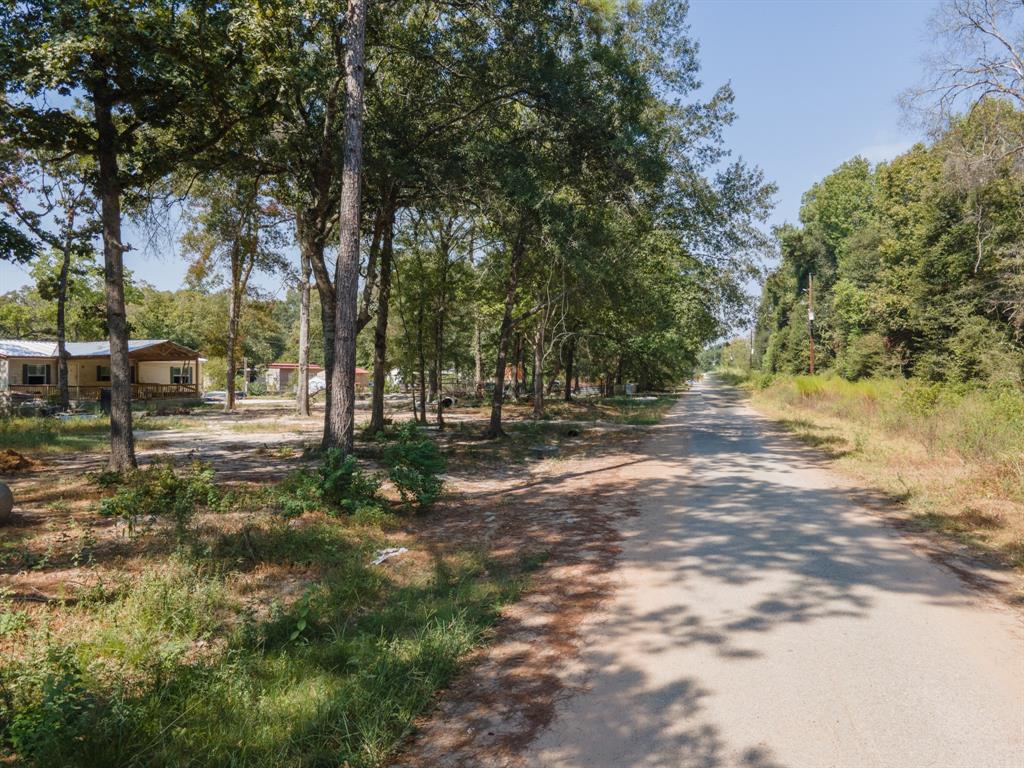 S794300 Pine Meadows, Conroe, Texas image 2