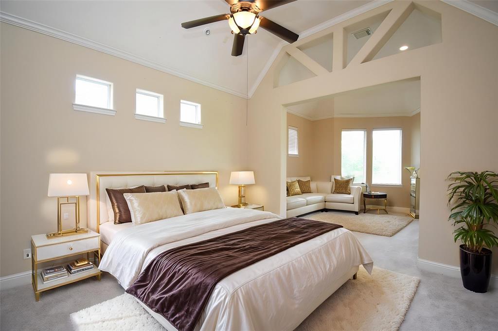 1611 Whitfield Street, Sugar Land, Texas image 21