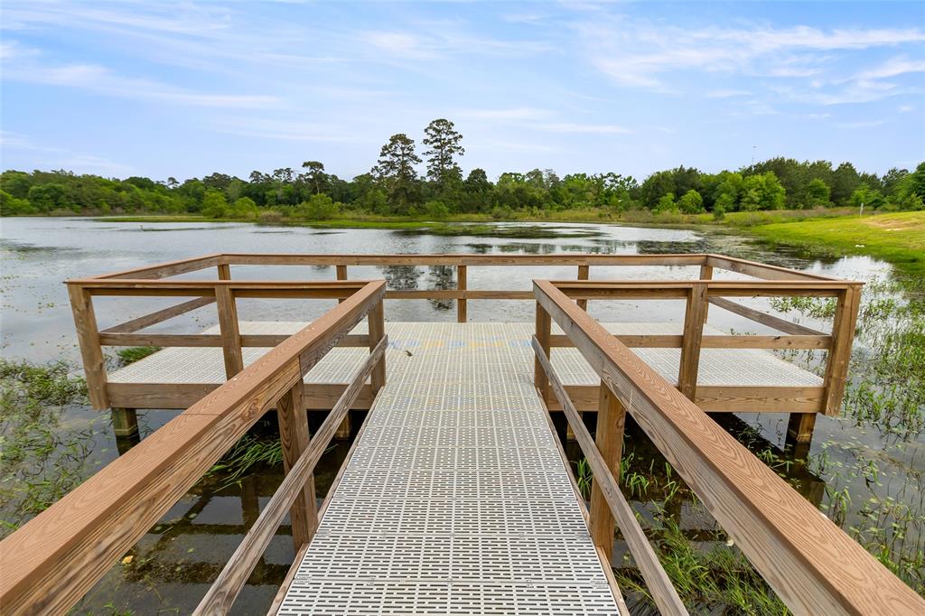 42675 Reminiscent Lane, Magnolia, Texas image 7