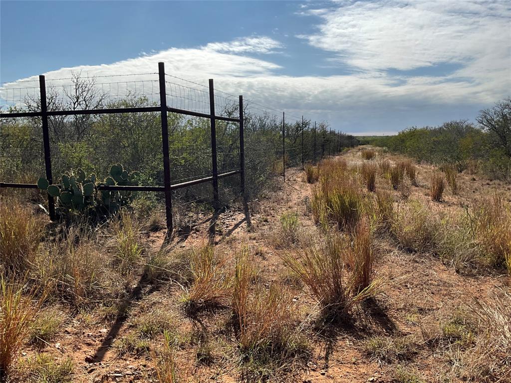 N Mesquite Street, Pearsall, Texas image 8