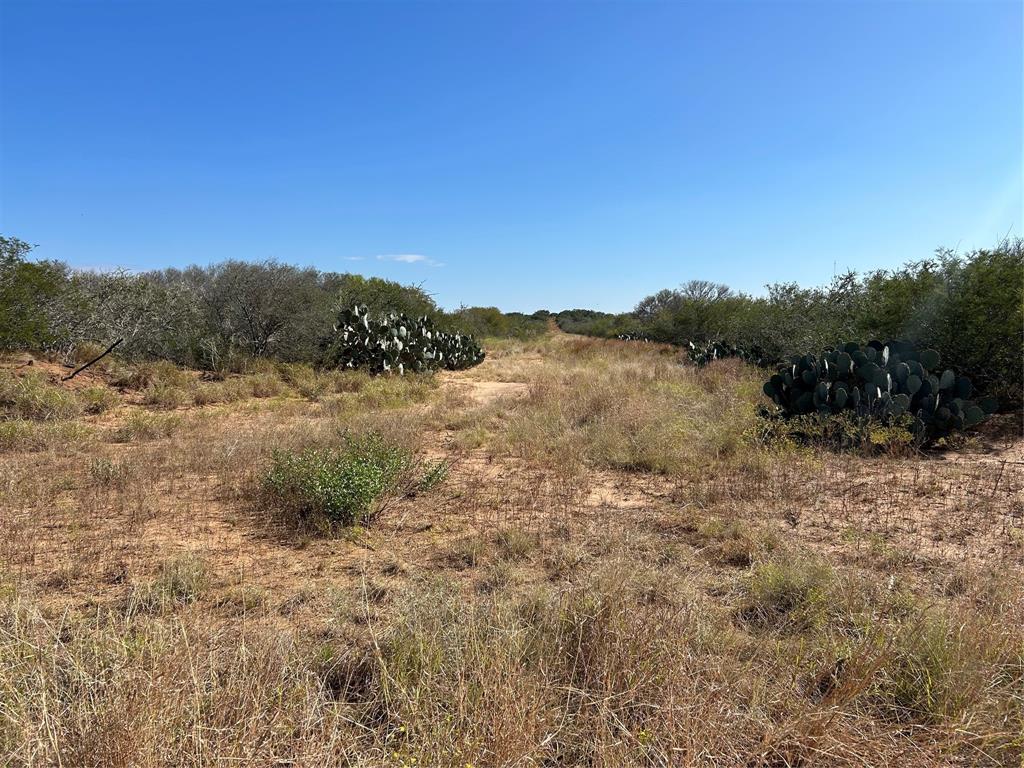 N Mesquite Street, Pearsall, Texas image 4