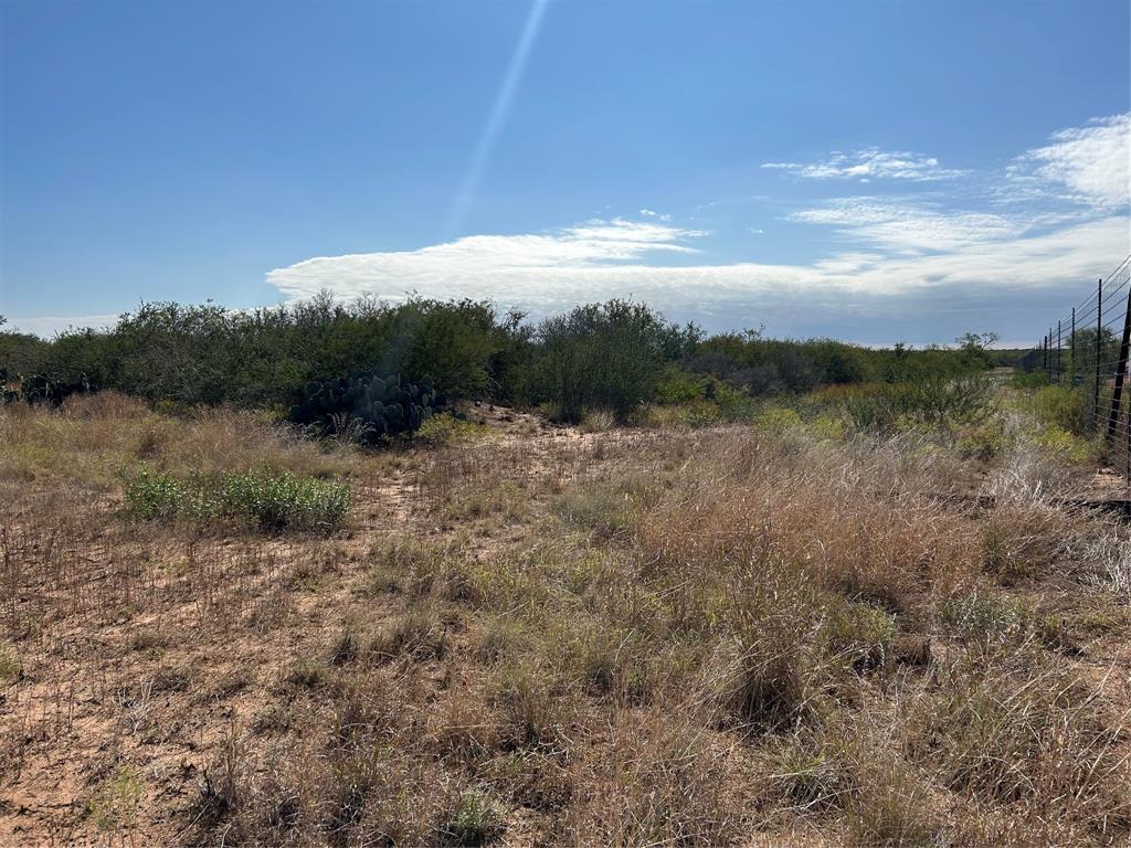 N Mesquite Street, Pearsall, Texas image 7