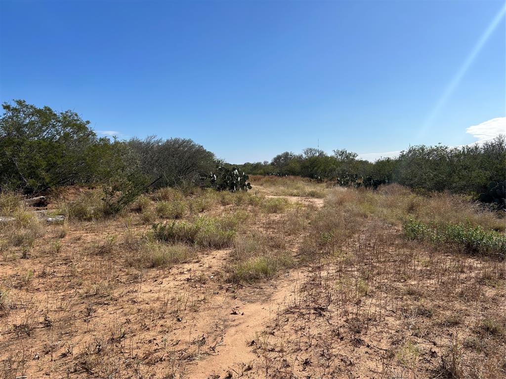 N Mesquite Street, Pearsall, Texas image 6