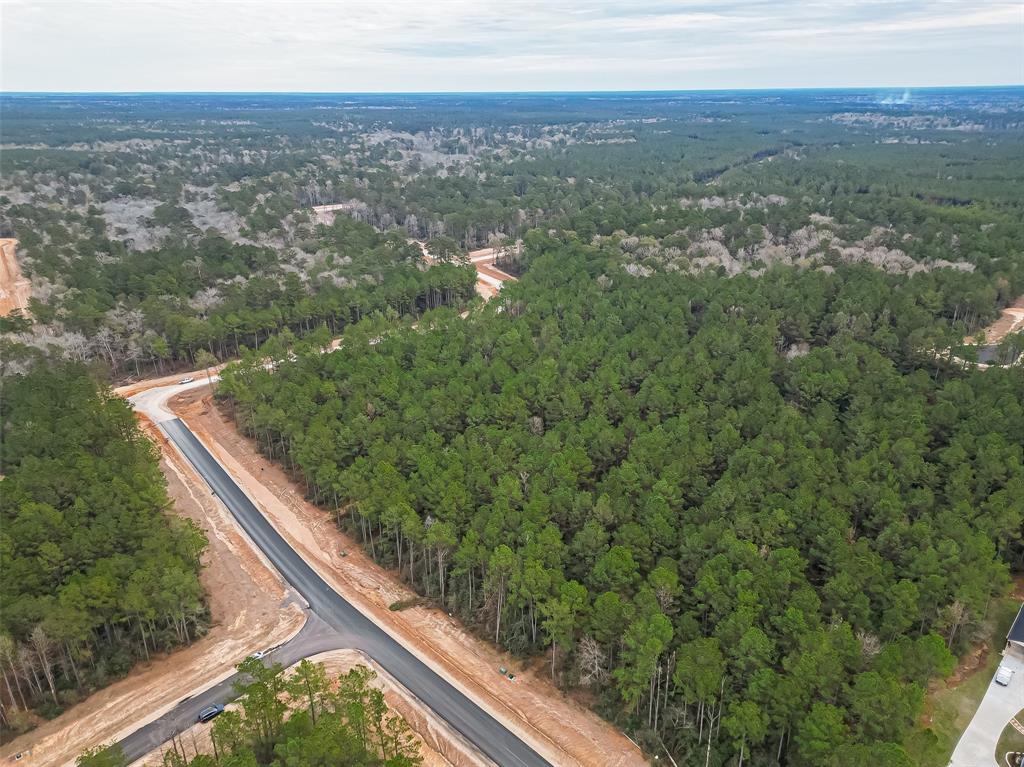 16014 Four Hills Road, Willis, Texas image 16