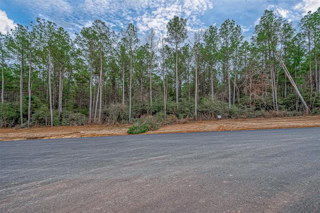 16014 Four Hills Road, Willis, Texas image 9