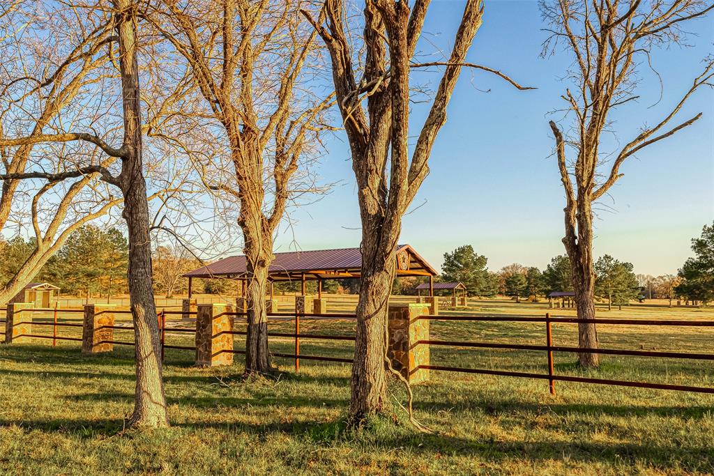 16014 Four Hills Road, Willis, Texas image 4