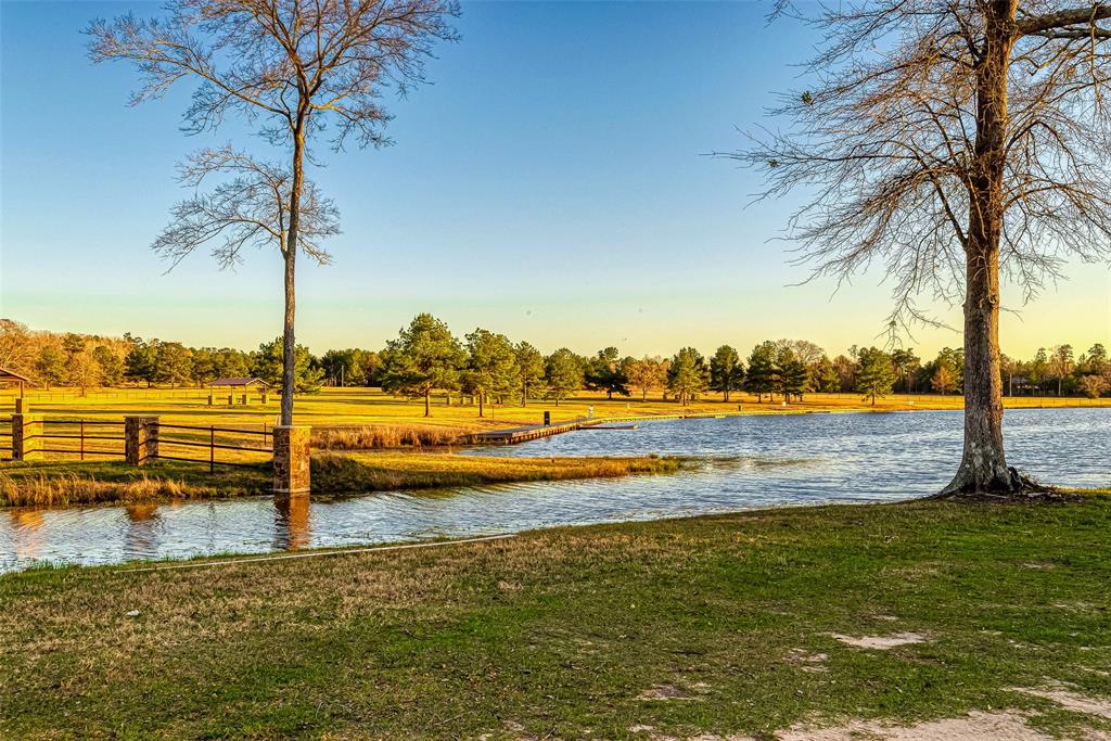 16014 Four Hills Road, Willis, Texas image 7