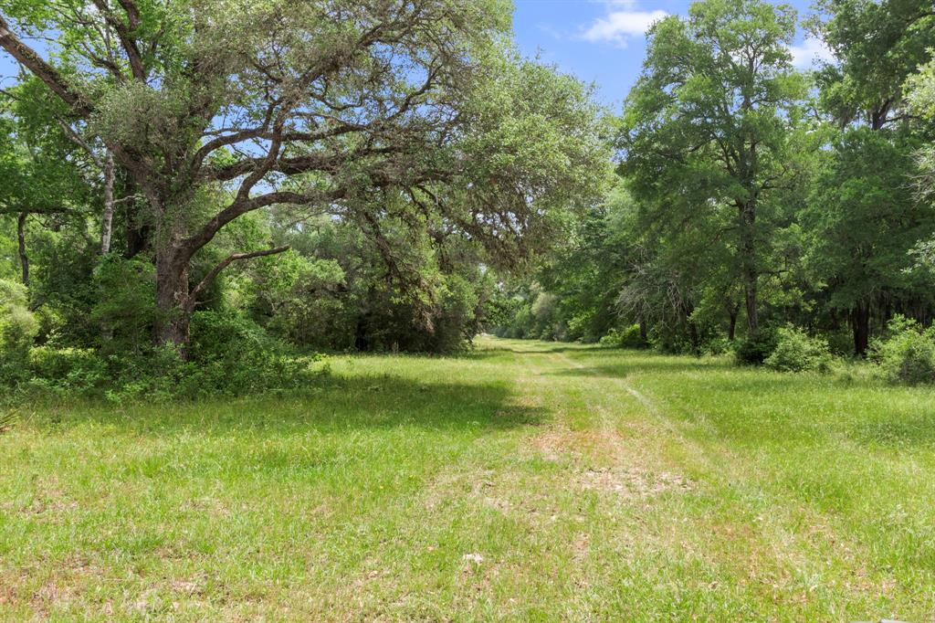 2751 Fm 2434, Weimar, Texas image 42
