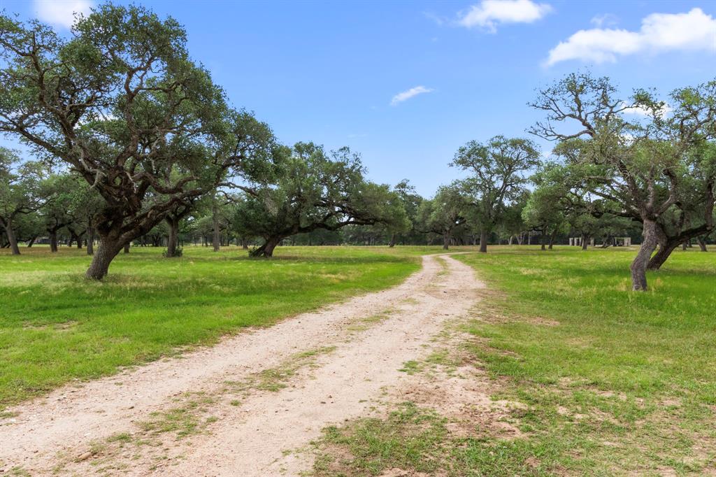2751 Fm 2434, Weimar, Texas image 43