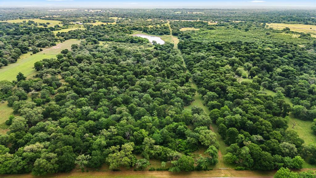 2751 Fm 2434, Weimar, Texas image 47