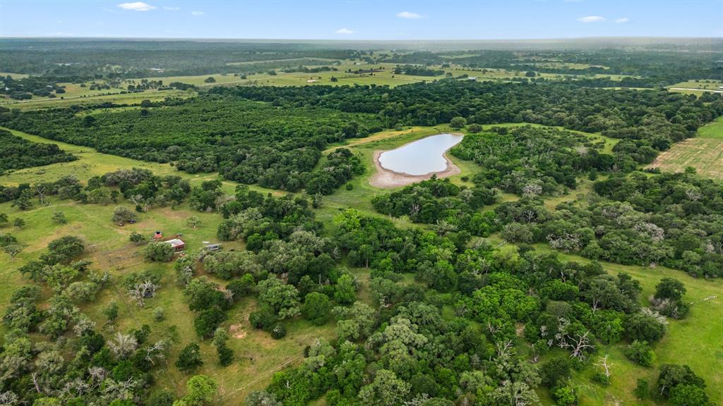 2751 Fm 2434, Weimar, Texas image 46