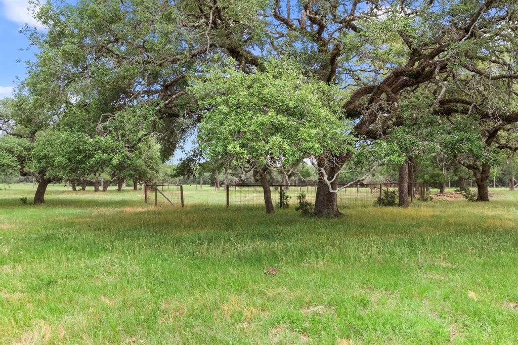 2751 Fm 2434, Weimar, Texas image 39
