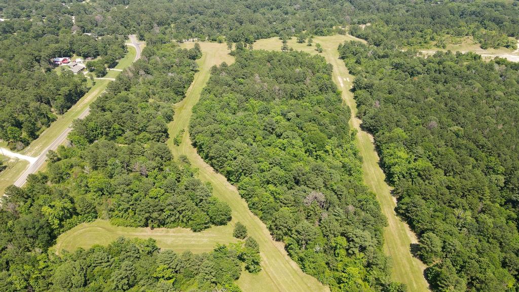 00 Nottoway Lane, Trinity, Texas image 8