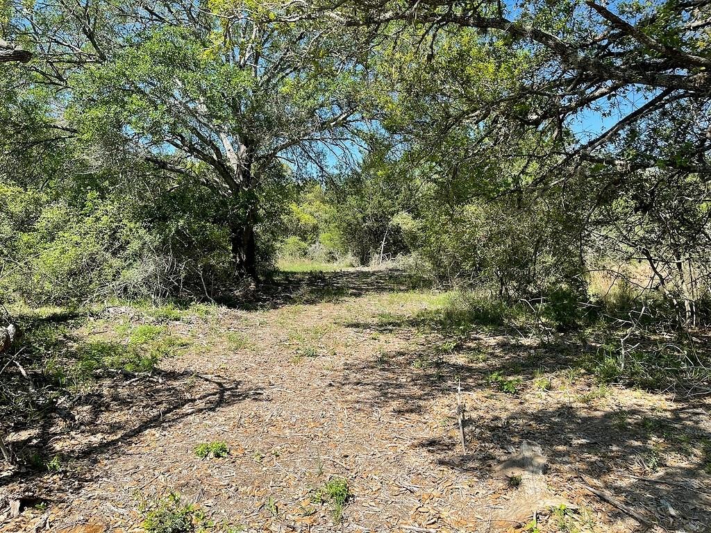 TBD County Road 230 / County Road 212, Weimar, Texas image 13