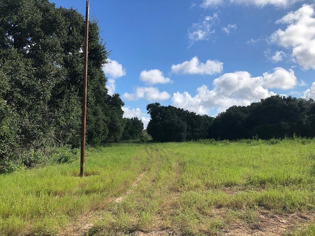 TBD County Road 230 / County Road 212, Weimar, Texas image 7