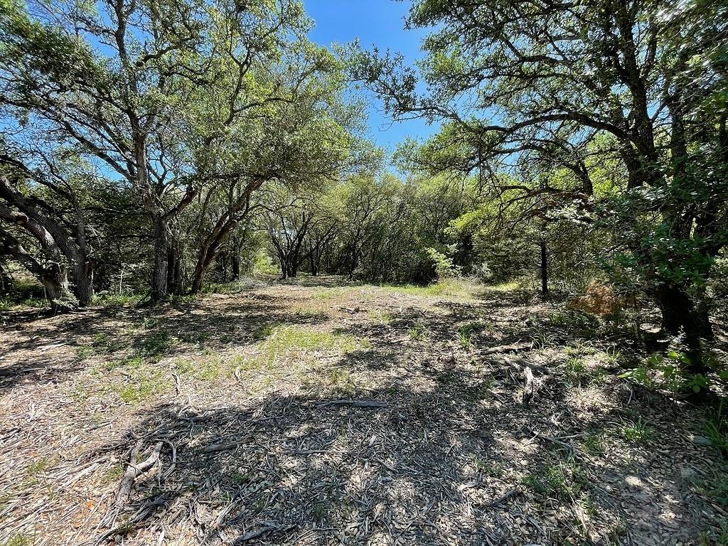 TBD County Road 230 / County Road 212, Weimar, Texas image 11
