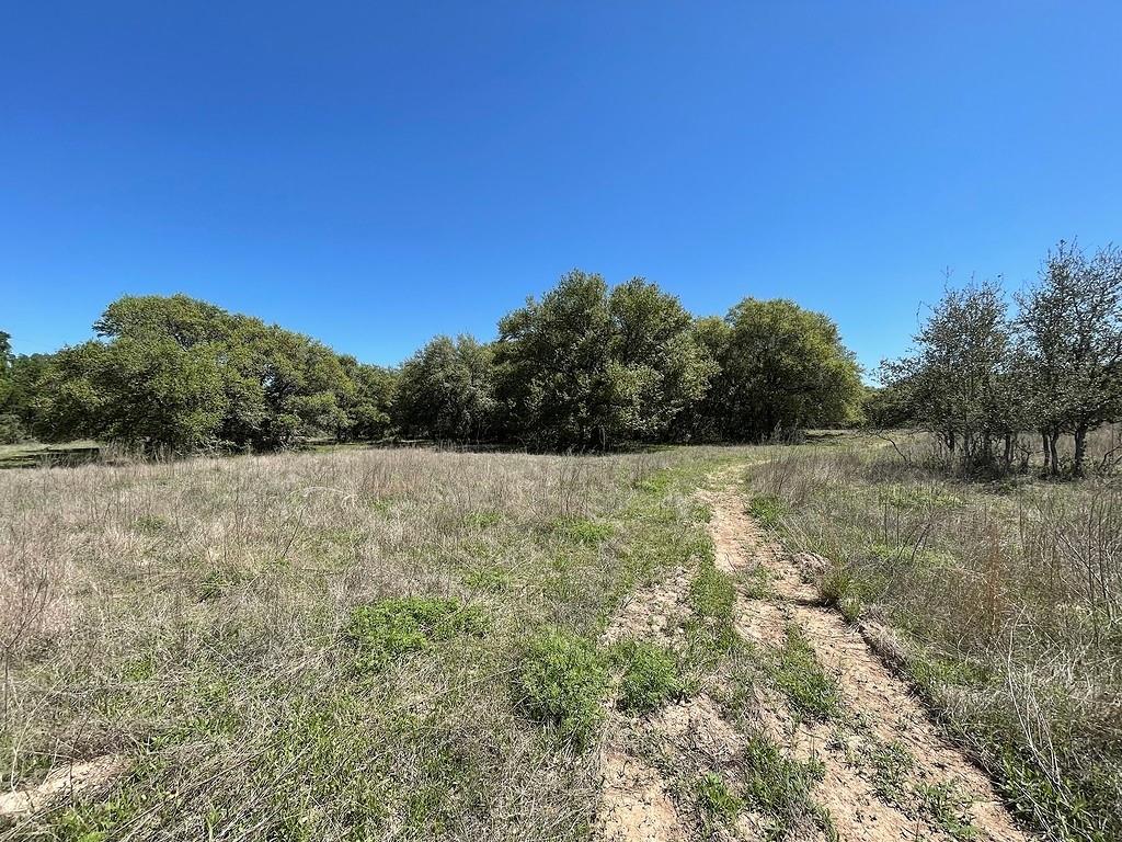 TBD County Road 230 / County Road 212, Weimar, Texas image 6