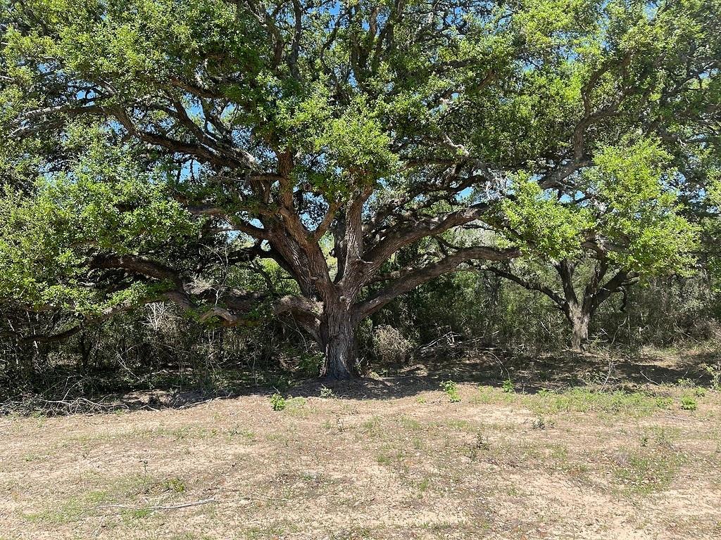 TBD County Road 230 / County Road 212, Weimar, Texas image 7