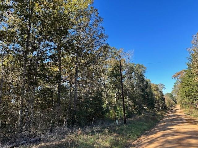 Ole Long Pull Road, Livingston, Texas image 2