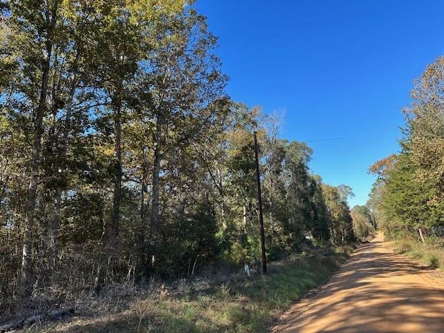 Ole Long Pull Road, Livingston, Texas image 1