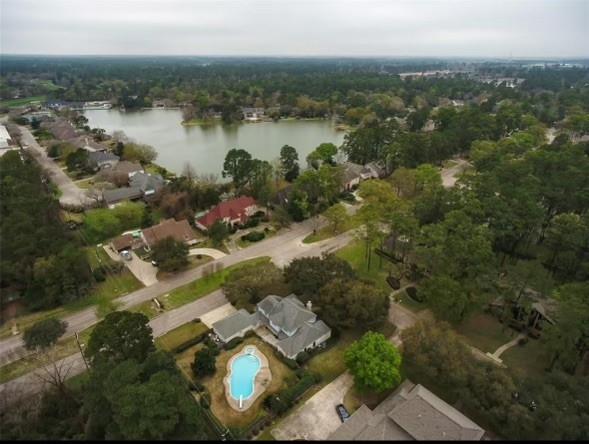 11219 Lorton Drive, Houston, Texas image 24