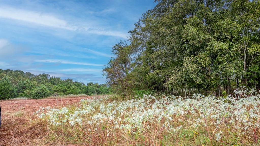 Tr 17 Felder Road, Washington, Texas image 9