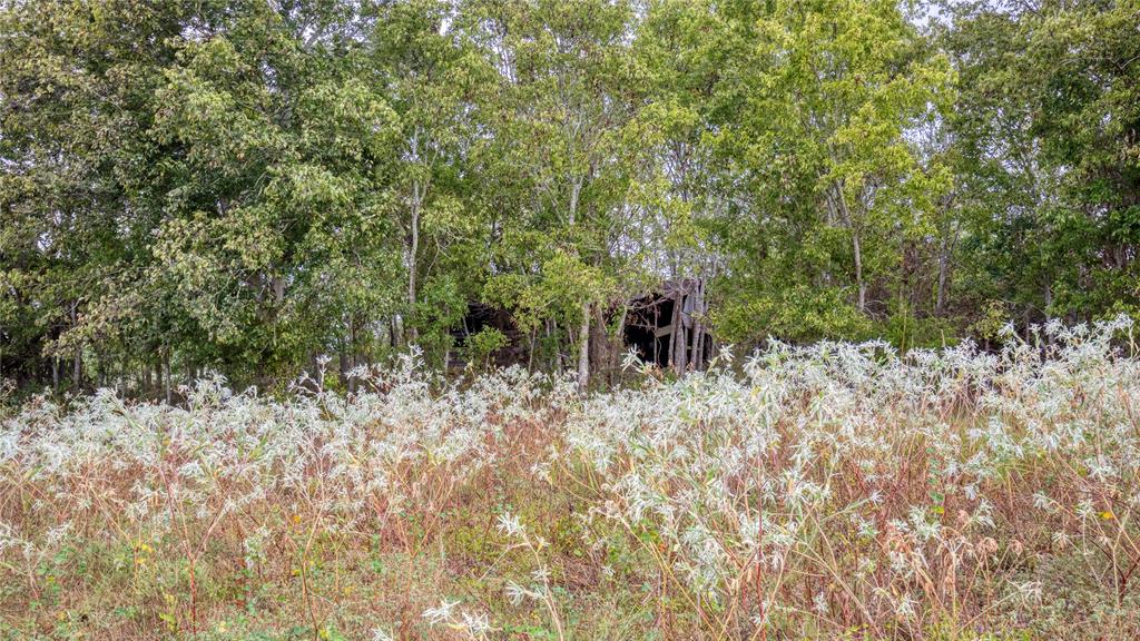 Tr 17 Felder Road, Washington, Texas image 10