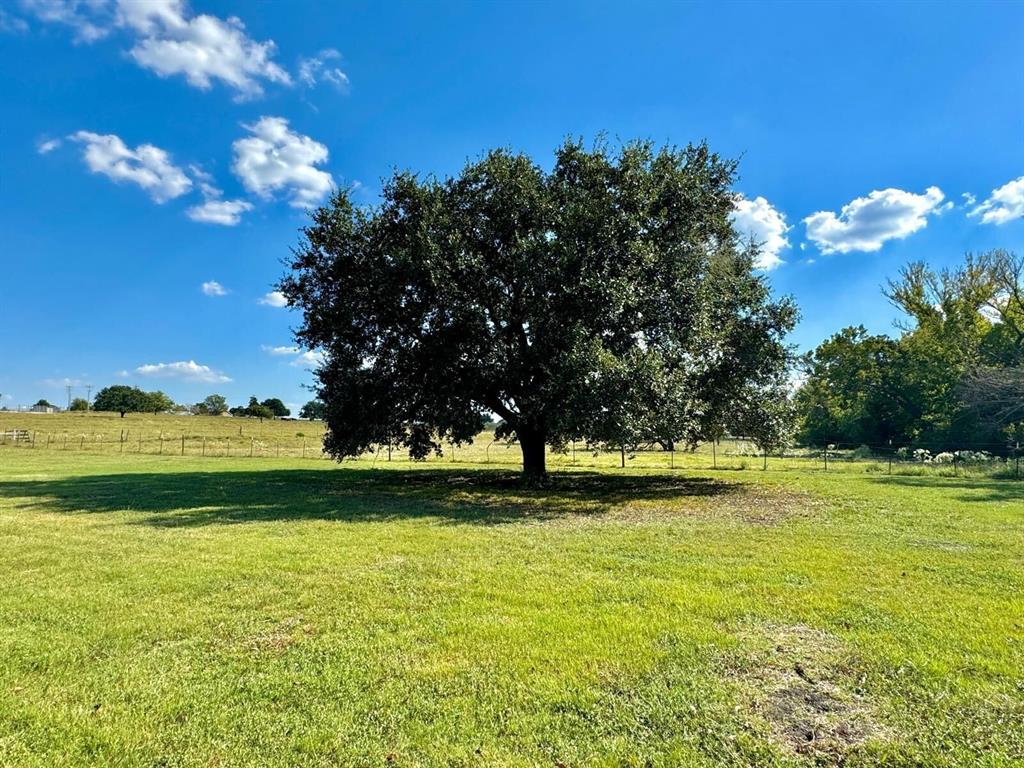 4975 Old Independence Road, Brenham, Texas image 13