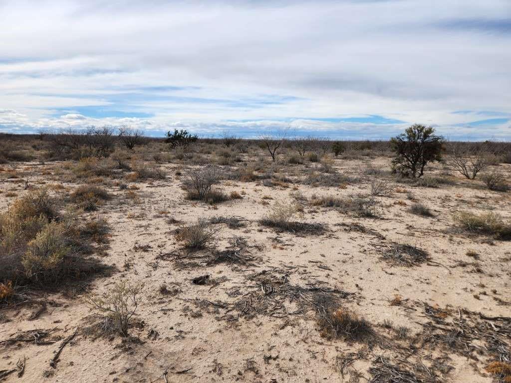 Vera Road, Fort Stockton, Texas image 3