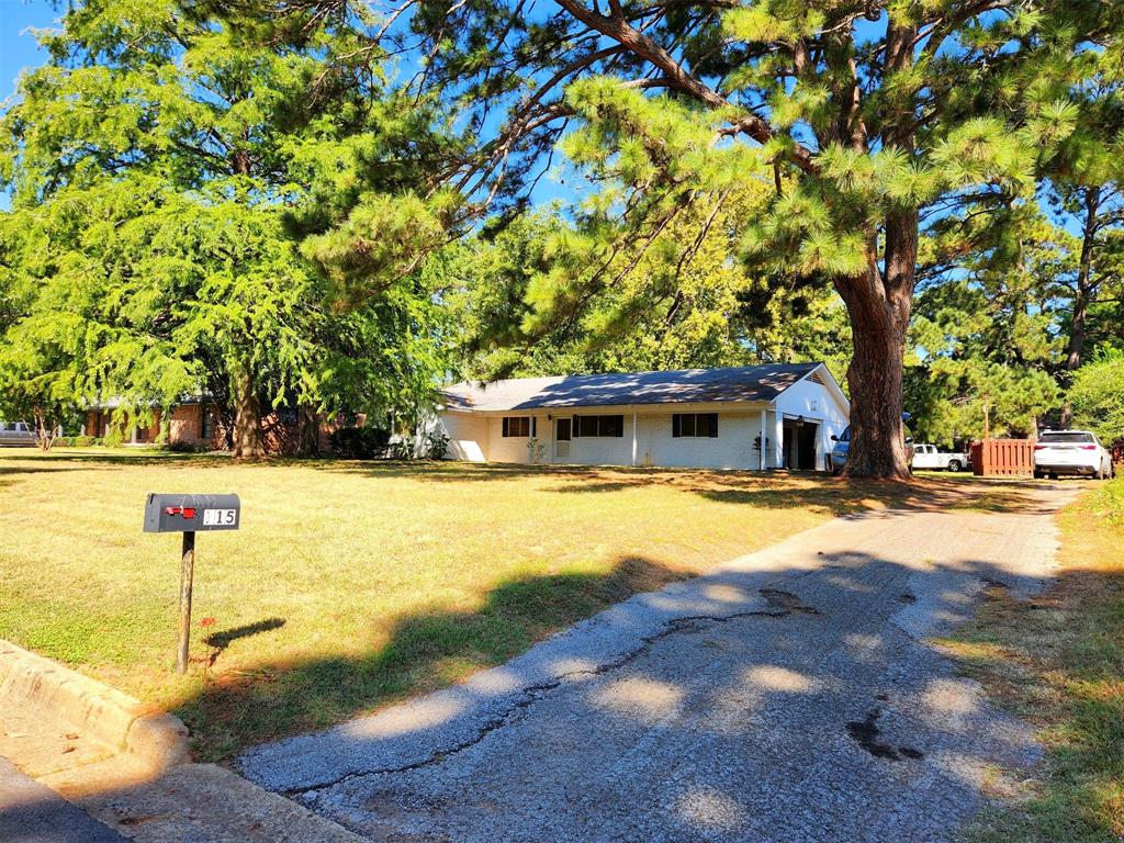 115 Meadowbrook Drive, Palestine, Texas image 3