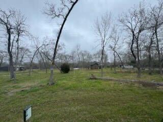 38056 S Bonnie Lake Drive, Hempstead, Texas image 4