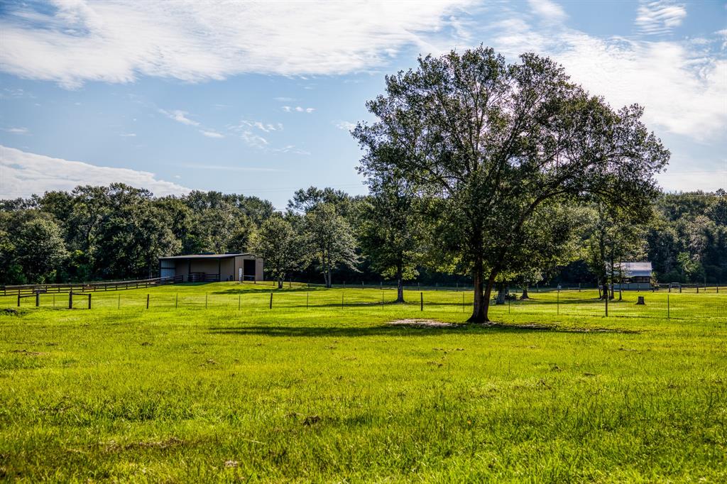 533 Meadow Creek Road, Bellville, Texas image 4