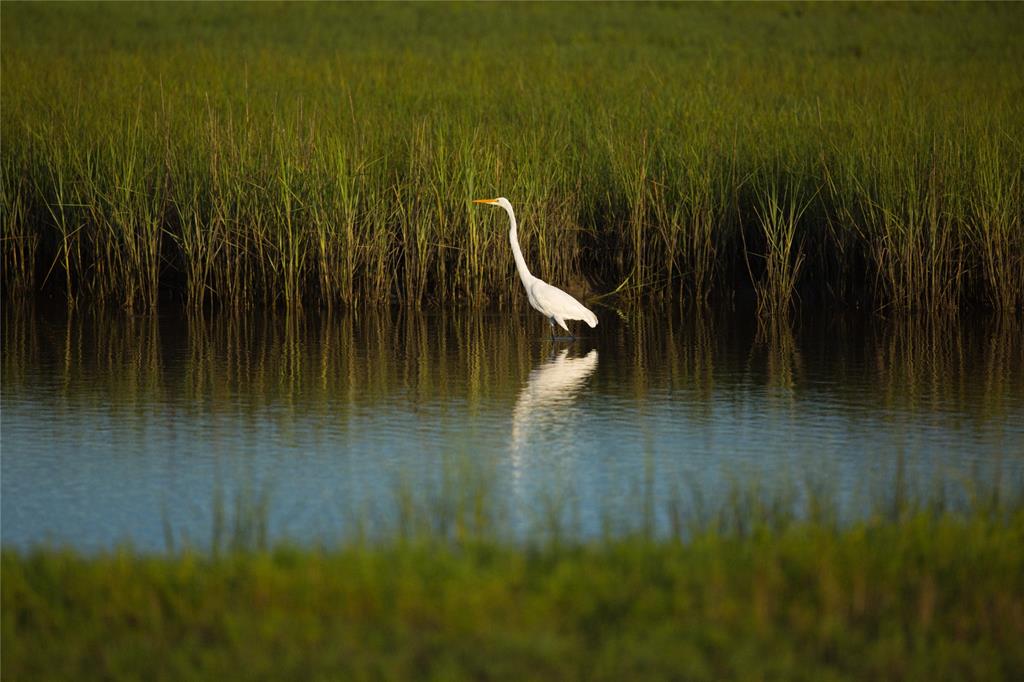 24 Long Key, Hitchcock, Texas image 24